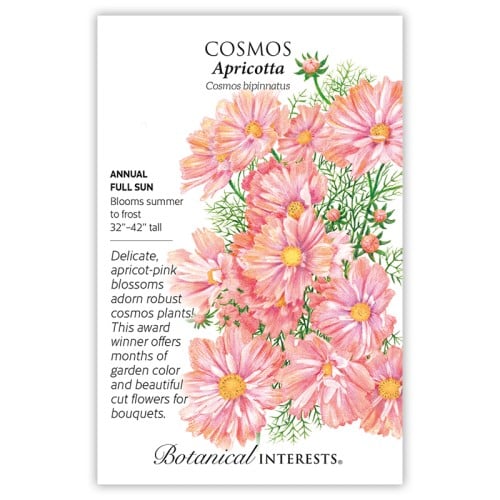 بذور كوسموس مشمشي - Cosmos, Apricotta Cosmos Seeds