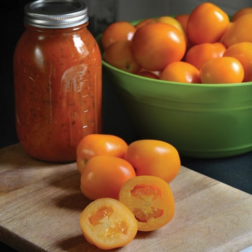 بذور طماطم شروق الشمس - Sunrise Sauce (F1) Tomato...