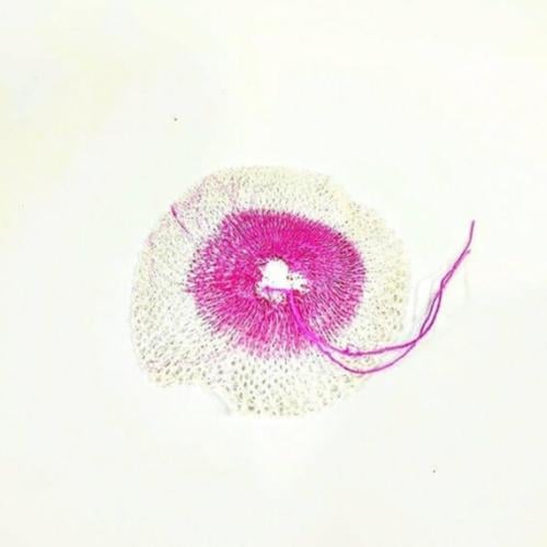 فتيلة تريك فراشة