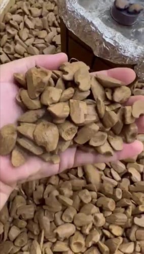 أوقية دقة مروكي محسن بيور