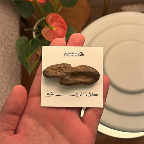 توزيعات العيد