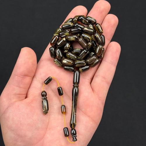 ظهر السلحفاة ( ترسة )