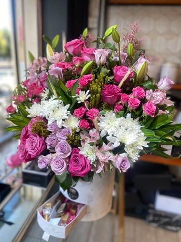 بوكس سارونا