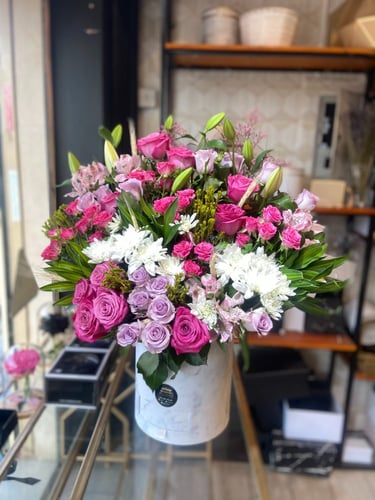 بوكس سارونا