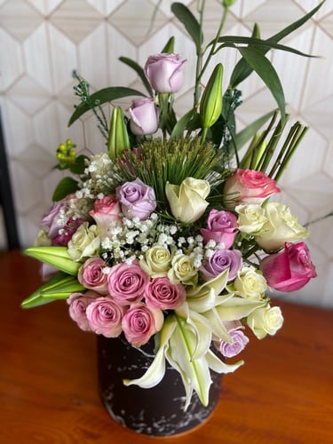 بوكس كميليا