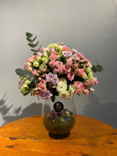 فازة امرجينا