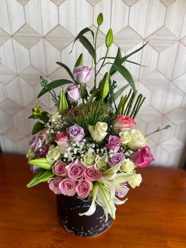 بوكس كميليا