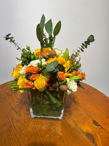 فازة الشفاء