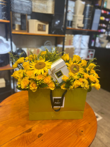 بوكس تباع الشمس