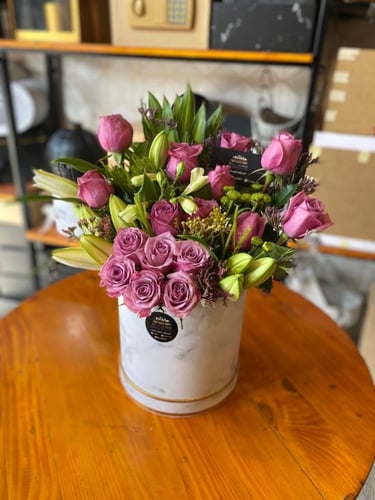 بوكس اقحوان