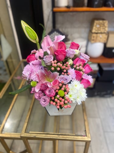 بوكس اغادير