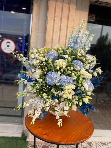 فازة مواليد ( ولد )