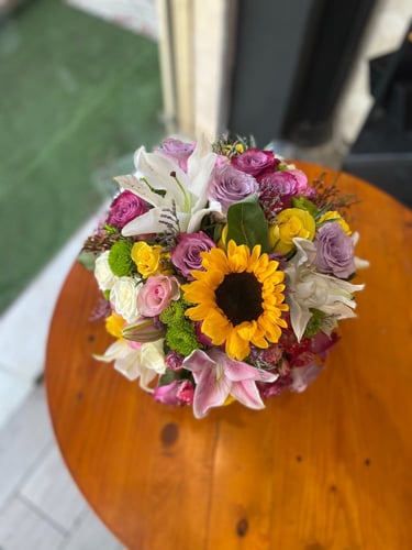 فازة عباد الشمس