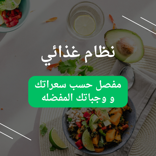نظام غذائي
