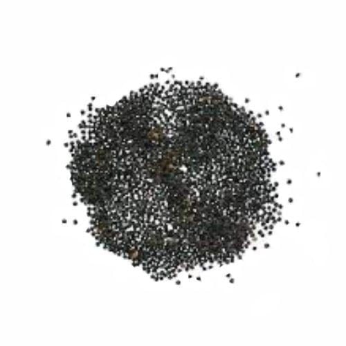 بذور الجيبسوفيلا ايليجانس مخلوط (قرنفل أبيض)