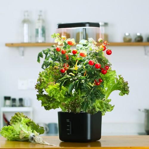 جهاز الزراعة المائية المنزلي الذكي صغير