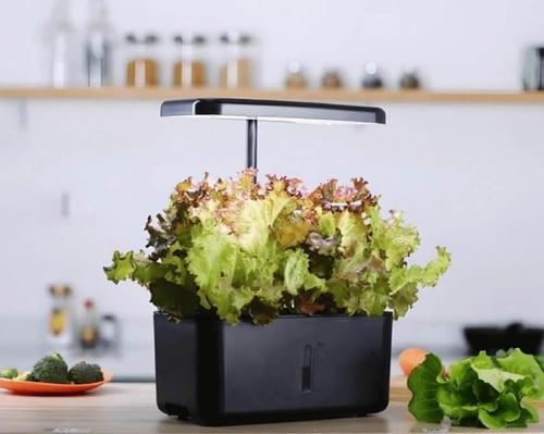 عرض جهازين زراعة منزلي - حجم وسط