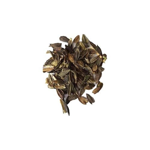 بذور الداليا مخلوطة