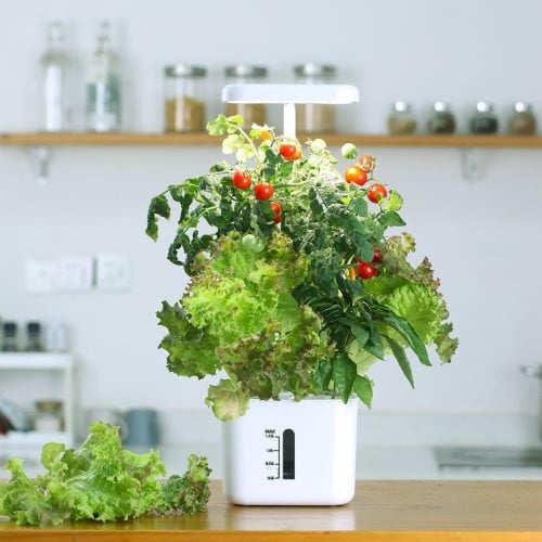 جهاز الزراعة المائية المنزلي الذكي صغير