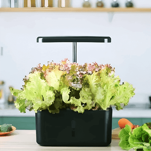 جهاز الزراعة المائية المنزلية الذكي وسط