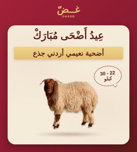 نعيمي اردني مرابي (صغير-وسط-جبر)