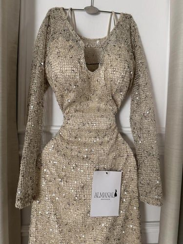 فستان بيج مطرز بترتر لامع