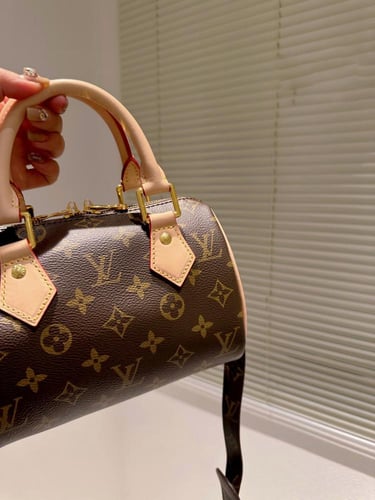 Lv bag
