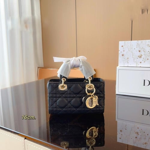 Dior bag