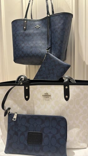 Coach bag double face