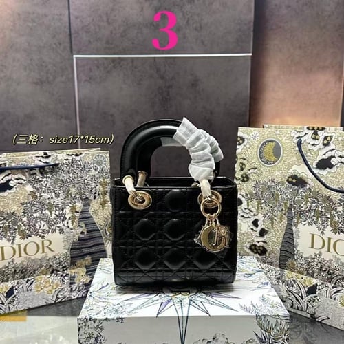 Dior bag mini