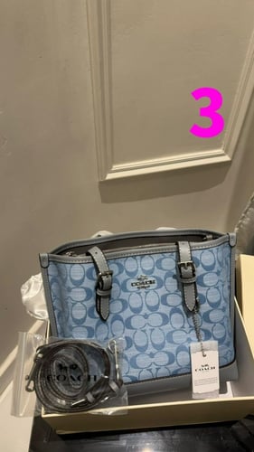 Coach bag