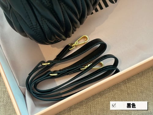 miumiu bag