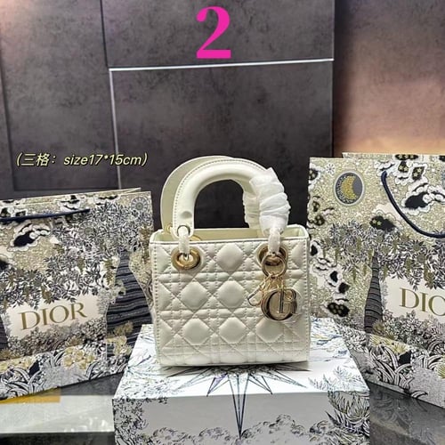Dior bag mini