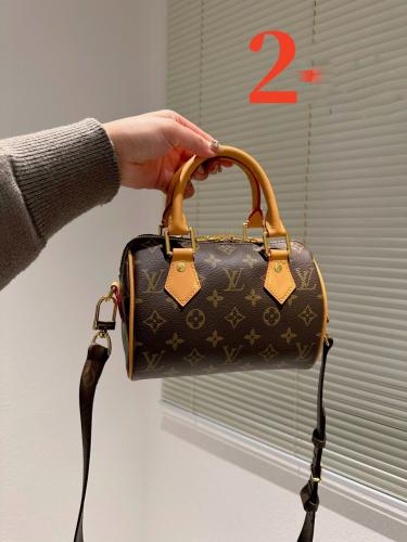Lv bag