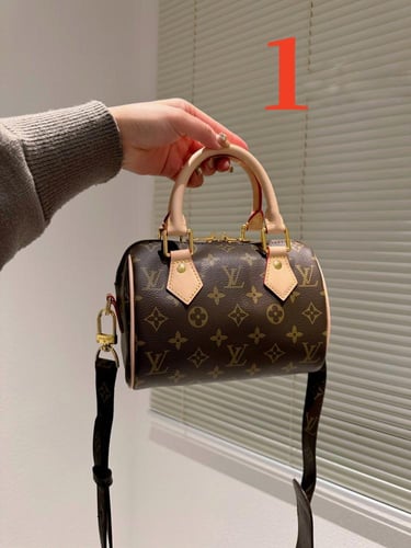 Lv bag