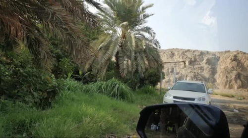 جزيرة الكنز