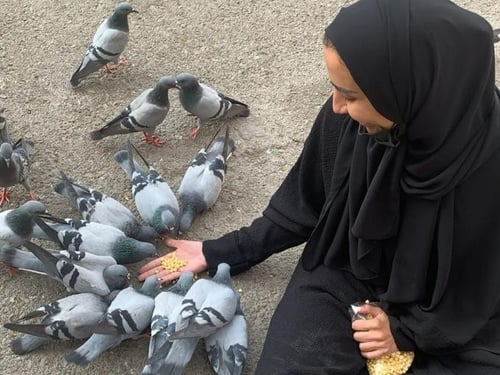 الهجرة: رحلتك الى النور