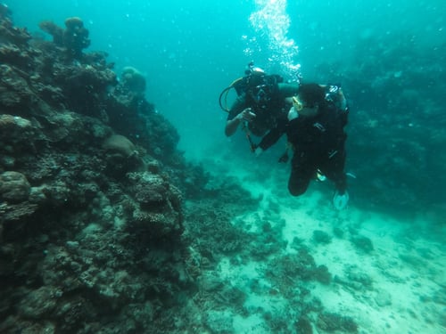 الغوص الإستكشافي من الشاطئ - جدة