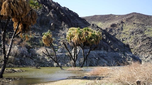 رحلة وادي التنين