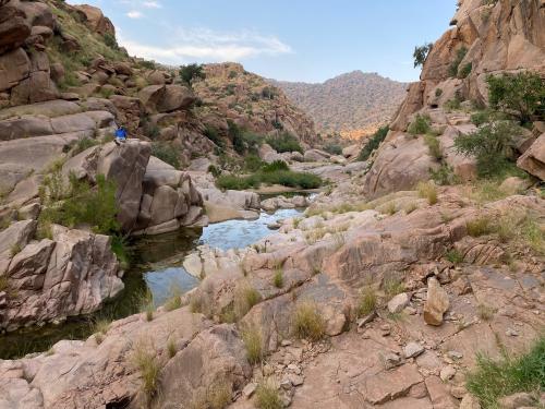 رحلة بين الصدفين