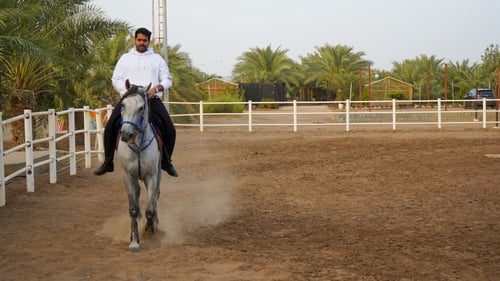 مزرعة الريف - جدة