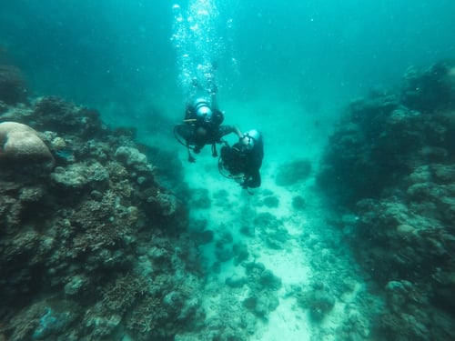 الغوص الإستكشافي من الشاطئ - جدة