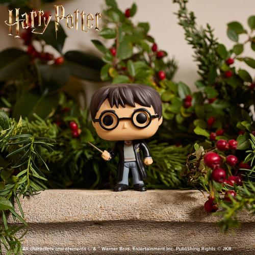 Funko Pop! Harry Potter