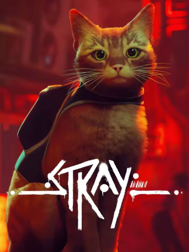 بوستر ستراي | Stray poster
