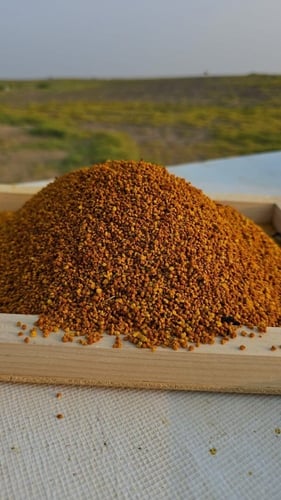 حبوب لقاح بريه إنتاج مناحل مزون الشمال 100 جرام إن...