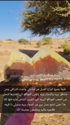 عسل طلح اصلي ربع كيلو 250 جرام إنتاج عام 2023