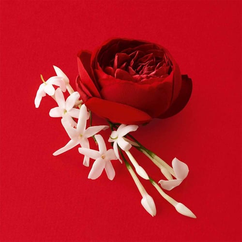 جورجيو أرماني، سي باشن عطر الشعر - 30 مل