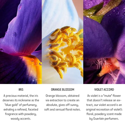 جيرلان، إنسولانس للنساء، أو دي بارفيوم - 75 مل