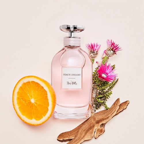 كوتش، دريمز للنساء، أو دي بارفيوم - 90 مل
