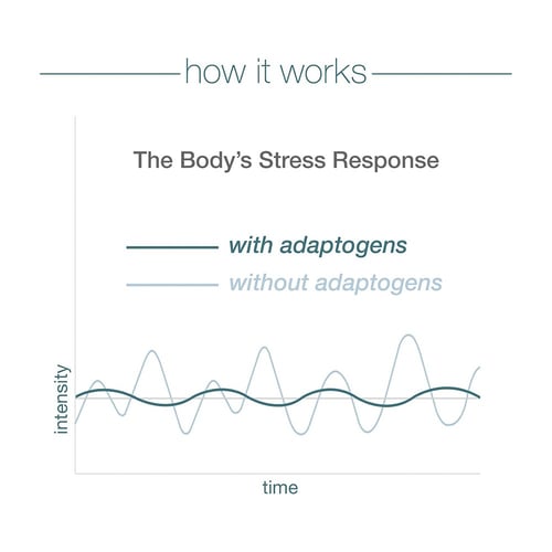 يوثيوري، أشواغاندا، مكمل غذائي - 60 كبسولة نباتية